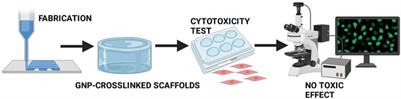 Genipin-Crosslinking Effects on Biomatrix Development for Cutaneous Wound Healing: A Concise Review